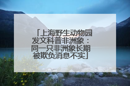 上海野生动物园发文科普非洲象：同一只非洲象长期被欺负消息不实