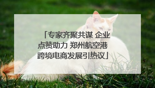 专家齐聚共谋 企业点赞助力 郑州航空港跨境电商发展引热议