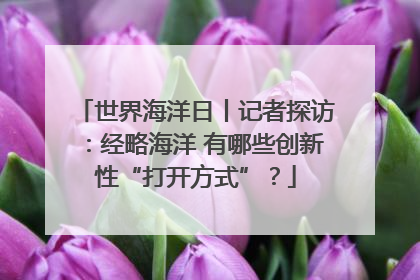 世界海洋日丨记者探访：经略海洋 有哪些创新性“打开方式”？