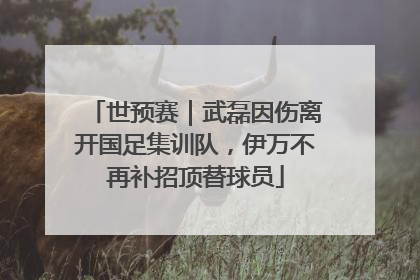 世预赛｜武磊因伤离开国足集训队，伊万不再补招顶替球员