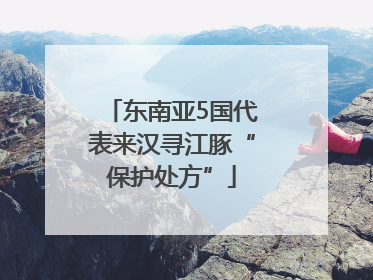 东南亚5国代表来汉寻江豚“保护处方”