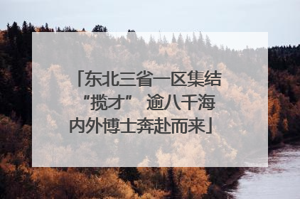 东北三省一区集结“揽才” 逾八千海内外博士奔赴而来