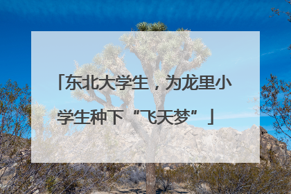 东北大学生，为龙里小学生种下“飞天梦”