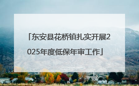 东安县花桥镇扎实开展2025年度低保年审工作
