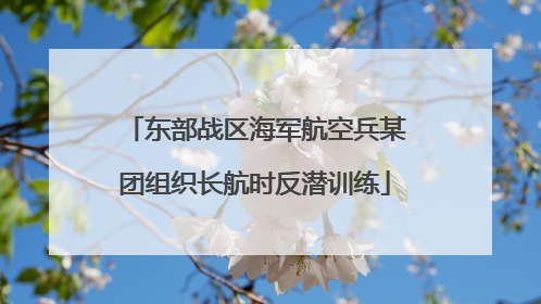 东部战区海军航空兵某团组织长航时反潜训练