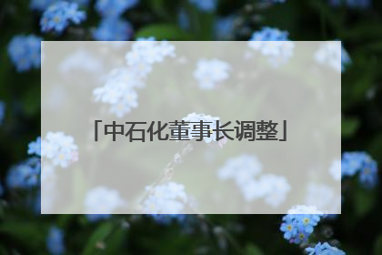 中石化董事长调整