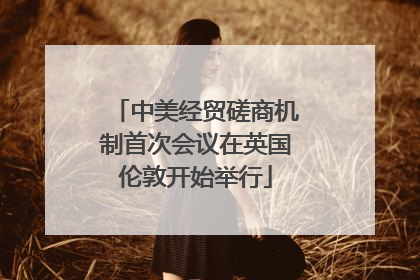 中美经贸磋商机制首次会议在英国伦敦开始举行