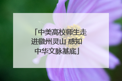 中美高校师生走进徽州灵山 感知中华文脉基底