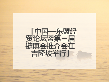 中国—东盟经贸论坛暨第三届链博会推介会在吉隆坡举行