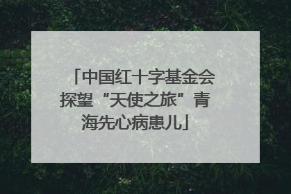 中国红十字基金会探望“天使之旅”青海先心病患儿