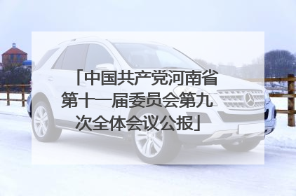 中国共产党河南省第十一届委员会第九次全体会议公报
