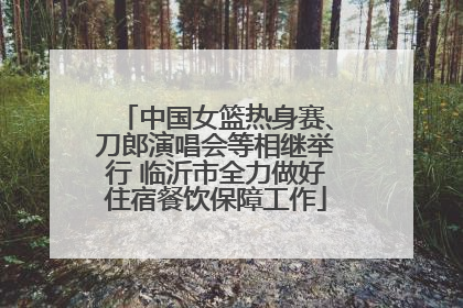 中国女篮热身赛、刀郎演唱会等相继举行 临沂市全力做好住宿餐饮保障工作