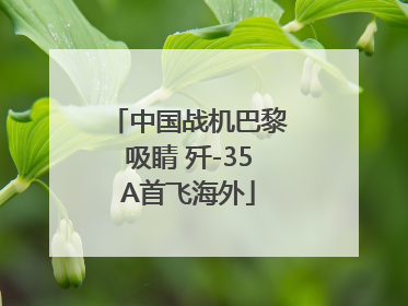中国战机巴黎吸睛 歼-35A首飞海外