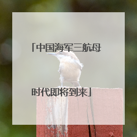 中国海军三航母时代即将到来