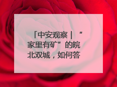 中安观察｜“家里有矿”的皖北双城，如何答好转型之问？