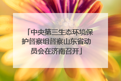中央第三生态环境保护督察组督察山东省动员会在济南召开