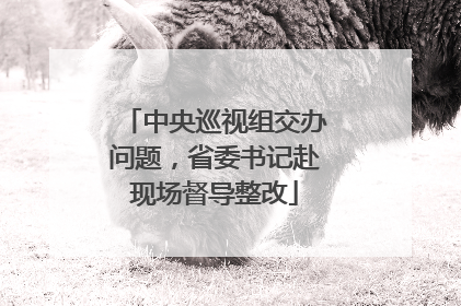 中央巡视组交办问题，省委书记赴现场督导整改