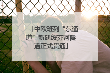 中欧班列“东通道”新建绥芬河隧道正式贯通