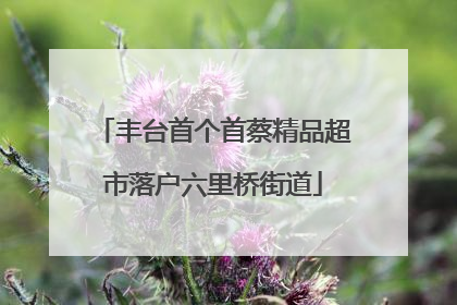 丰台首个首蔡精品超市落户六里桥街道