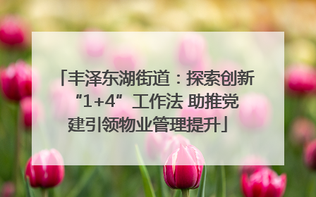 丰泽东湖街道：探索创新“1+4”工作法 助推党建引领物业管理提升