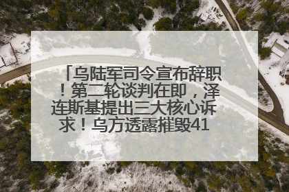 乌陆军司令宣布辞职！第二轮谈判在即，泽连斯基提出三大核心诉求！乌方透露摧毁41架俄战略轰炸机