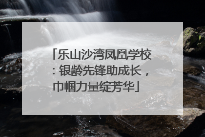 乐山沙湾凤凰学校：银龄先锋助成长，巾帼力量绽芳华