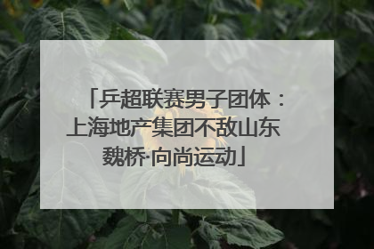 乒超联赛男子团体：上海地产集团不敌山东魏桥·向尚运动