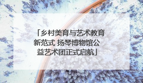 乡村美育与艺术教育新范式 扬琴博物馆公益艺术团正式启航