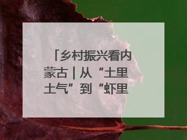 乡村振兴看内蒙古｜从“土里土气”到“虾里虾气” 一田双收模式火出圈