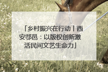 乡村振兴在行动丨西安鄠邑：以版权创新激活民间文艺生命力