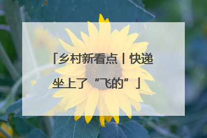 乡村新看点丨快递坐上了“飞的”