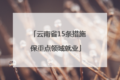 云南省15条措施保重点领域就业