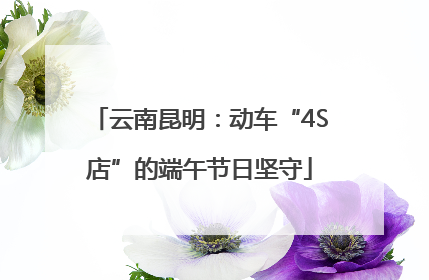 云南昆明：动车“4S店”的端午节日坚守