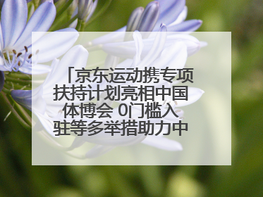 京东运动携专项扶持计划亮相中国体博会 0门槛入驻等多举措助力中小品牌成长