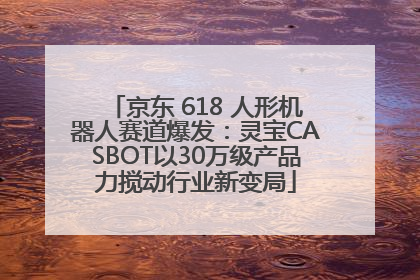京东 618 人形机器人赛道爆发：灵宝CASBOT以30万级产品力搅动行业新变局