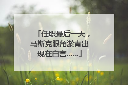 任职最后一天，马斯克眼角淤青出现在白宫……