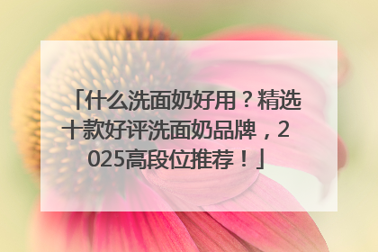 什么洗面奶好用？精选十款好评洗面奶品牌，2025高段位推荐！