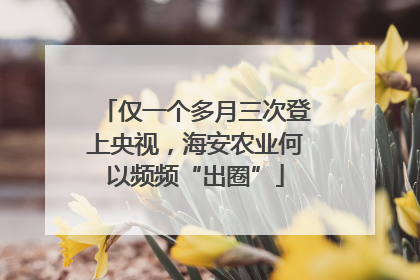 仅一个多月三次登上央视，海安农业何以频频“出圈”
