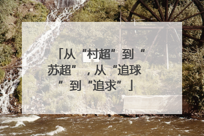 从“村超”到“苏超”，从“追球”到“追求”