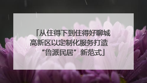 从住得下到住得好聊城高新区以定制化服务打造“鲁派民居”新范式