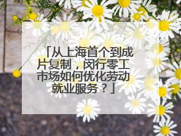从上海首个到成片复制，闵行零工市场如何优化劳动就业服务？