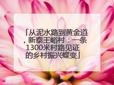 从泥水路到黄金道，新泰王峪村：一条1300米村路见证的乡村振兴蝶变