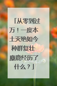从零到过万！一度本土灭绝如今种群复壮 麋鹿经历了什么？