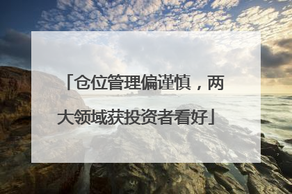 仓位管理偏谨慎，两大领域获投资者看好