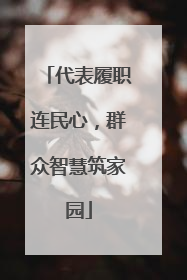 代表履职连民心，群众智慧筑家园