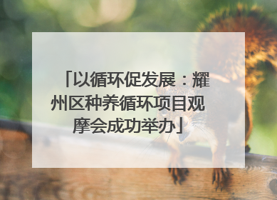 以循环促发展：耀州区种养循环项目观摩会成功举办