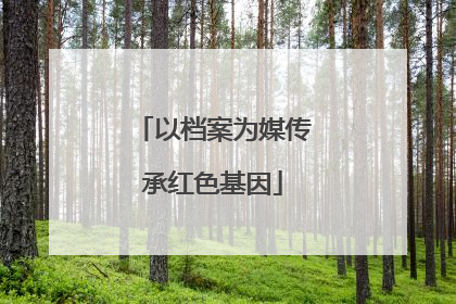 以档案为媒传承红色基因