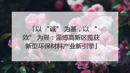 以 “诚” 为基，以 “效” 为翼：淄博高新区揽获新型环保材料产业新引擎