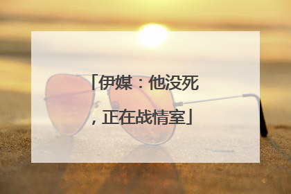 伊媒：他没死，正在战情室