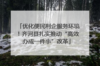 优化便民利企服务环境！齐河县扎实推动“高效办成一件事”改革